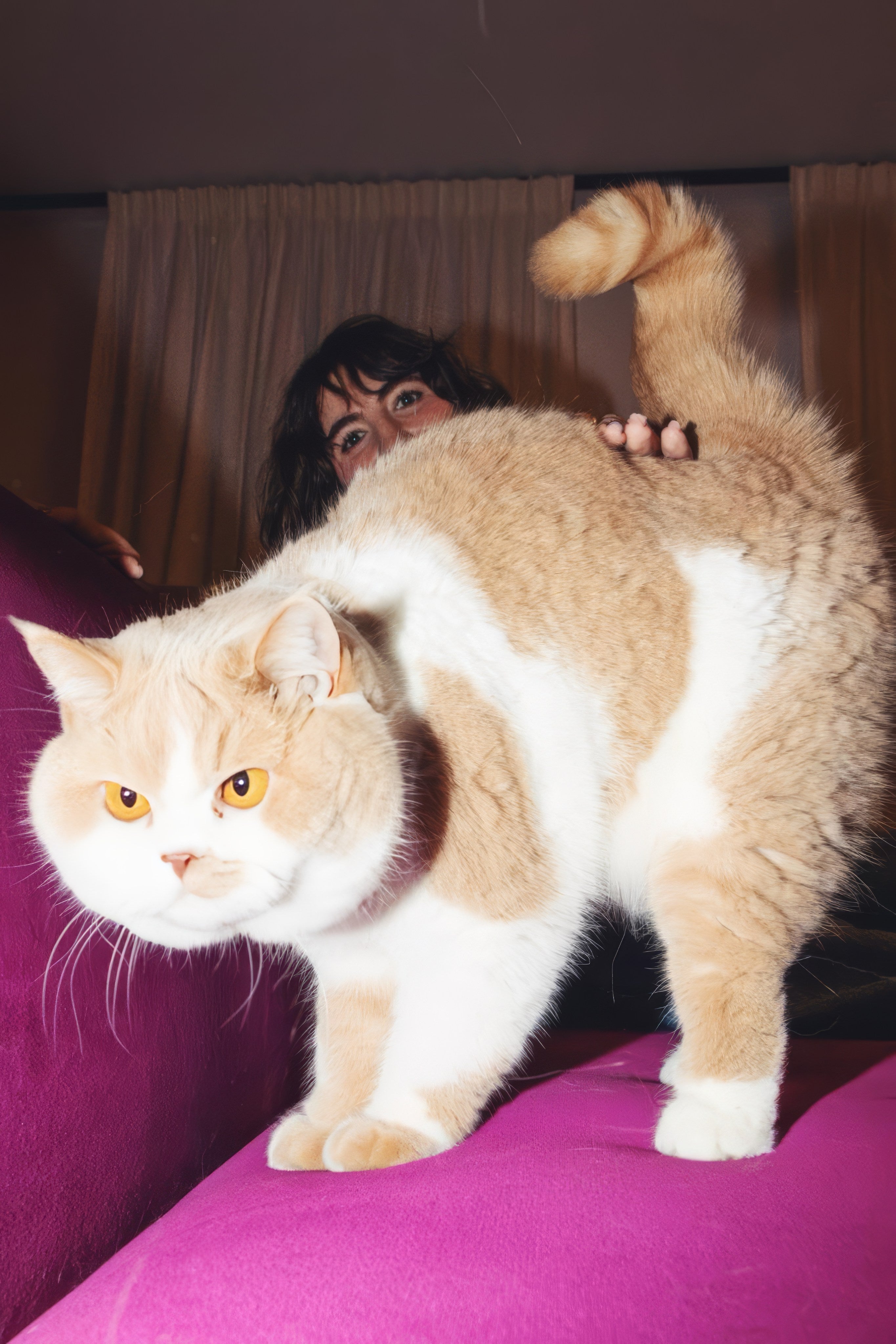 Elsa May with her cat